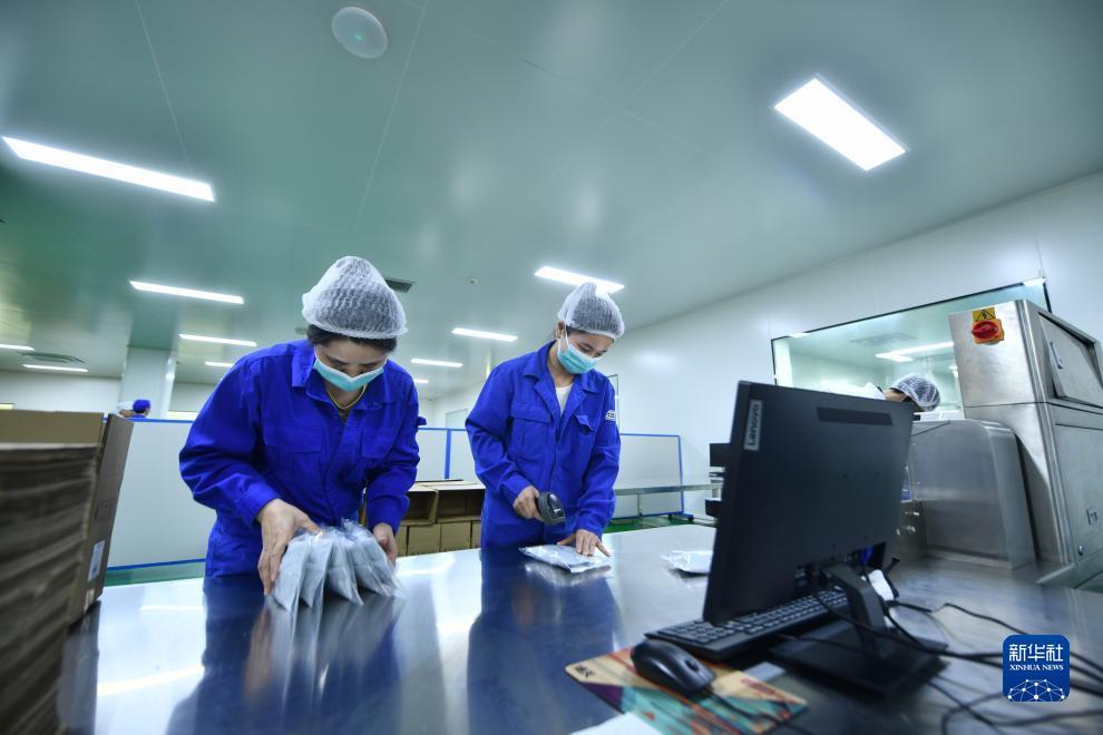 棋牌捕鱼游戏大全